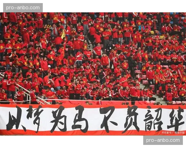 球迷影响研究：主场助威声势如何激发球员斗志提高表现