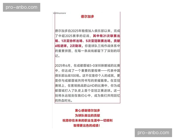深度报道：德甲联赛为应对极端天气事件修订比赛延期与补赛规则