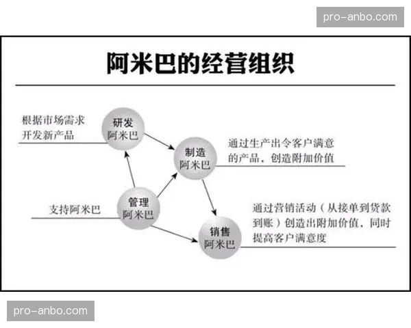 分析评论：外援中轴核心模式与本土球员主导模式，哪种更具战术弹性？